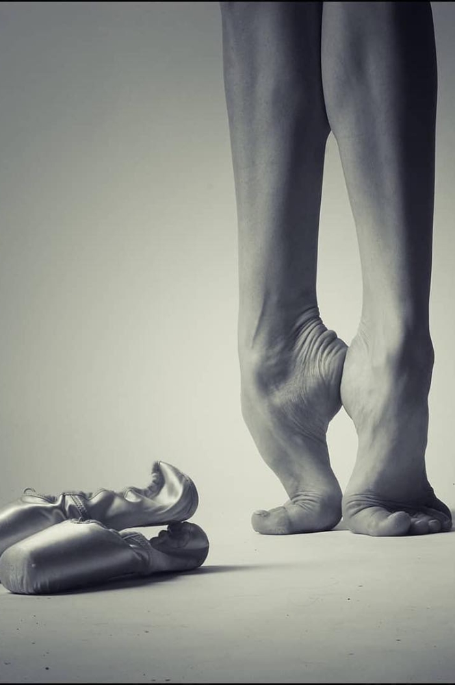 fit https://ucofballet.misc.fyi/wp-content/uploads/2025/05/fit.jpg